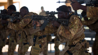 A group of soldiers in camouflage gear aiming their rifles during a training exercise.