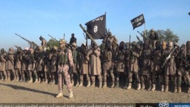 A group of armed individuals in military attire, standing with flags, in a desert location.