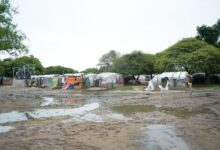 Rural makeshift shelters with clothing lines amidst trees, with a child and puddles in the foreground.