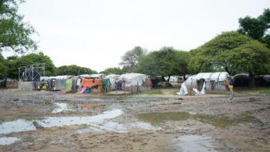 Rural makeshift shelters with clothing lines amidst trees, with a child and puddles in the foreground.