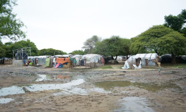 Rural makeshift shelters with clothing lines amidst trees, with a child and puddles in the foreground.