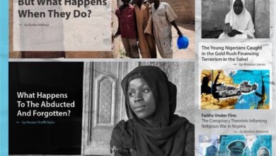 A collage of article headers from HumAngle's Top 10 Stories of 2024 featuring various social topics and concerns in Nigeria.