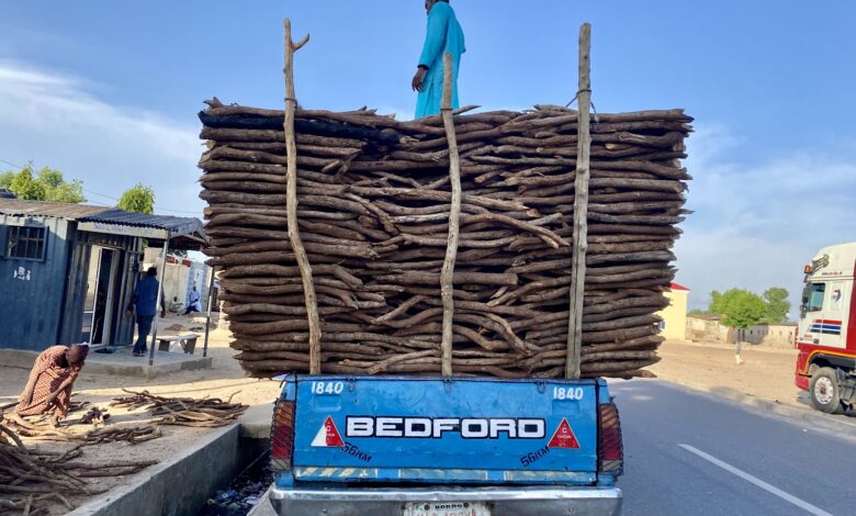 A pickup, popular firewood carrier, offloading firewood in Maiduguri.