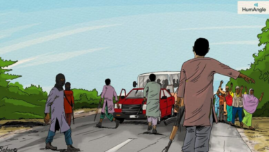 Illustration of motorists held up by terrorists