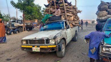 Pickup truck loaded with firewood, carrying passengers on top, drives through a dusty street. People and vehicles are around.