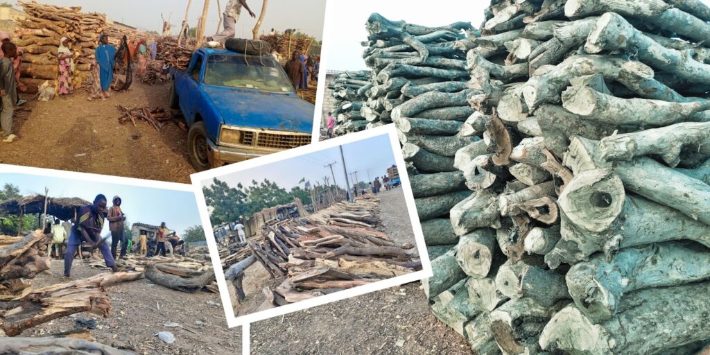 Collage of wood logs: stacked, hauled on a truck, and being cut by people under a thatched shelter.