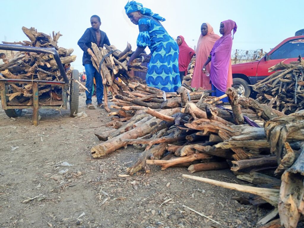 People gathering firewood near a red vehicle. A cart loaded with wood is nearby, and individuals are dressed in colorful attire.