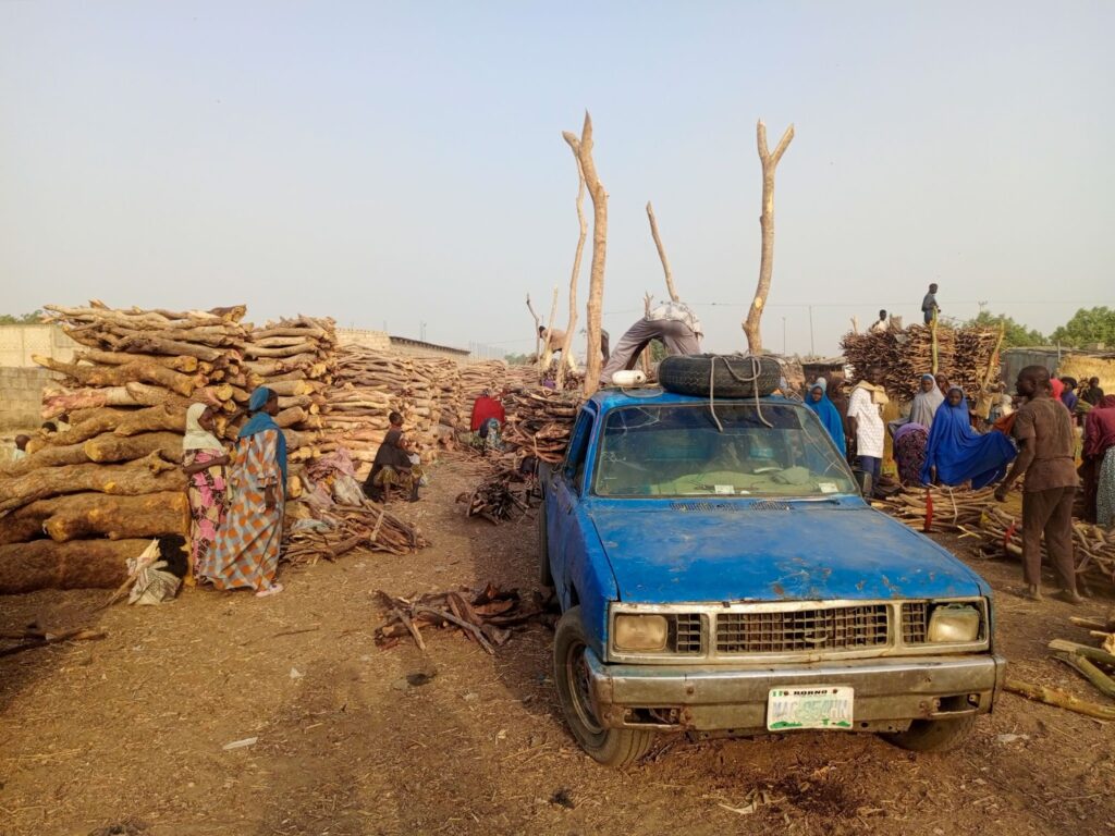 People gather around a blue truck and large stacks of firewood in an open area under a clear sky.