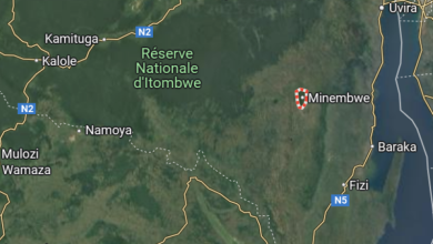 Map showing Réserve Nationale d'Itombwe in the Democratic Republic of the Congo, with Minembwe, Mwenga, and Fizi marked nearby.