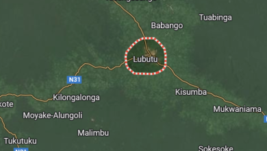 Map highlighting Lubutu, with surrounding areas and roads like N31 shown, against a green landscape background.