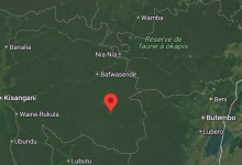 Map showing a location marked in northeastern Democratic Republic of the Congo, near Réserve de faune à okapis.