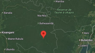 Map showing a location marked in northeastern Democratic Republic of the Congo, near Réserve de faune à okapis.