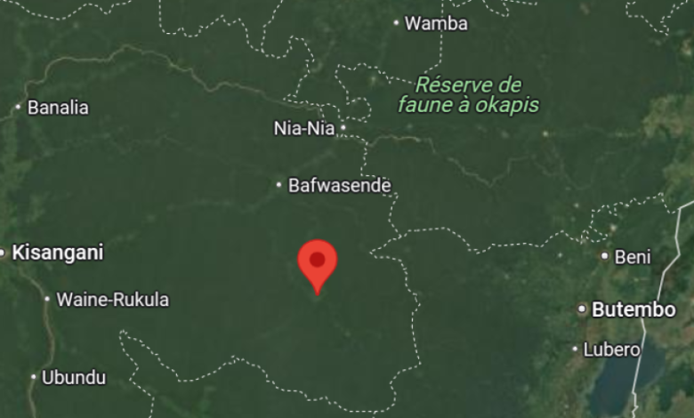 Map showing a location marked in northeastern Democratic Republic of the Congo, near Réserve de faune à okapis.