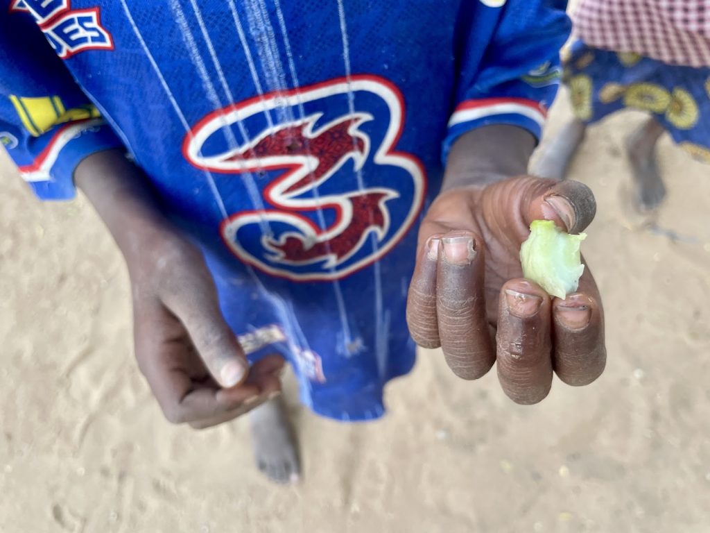 A child in a blue shirt holds a piece of green fruit in their hand.