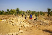 People working in a rocky landscape with piles of stones and dirt, surrounded by sparse trees under a clear blue sky.