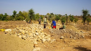 People working in a rocky landscape with piles of stones and dirt, surrounded by sparse trees under a clear blue sky.