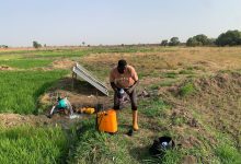 A person tends to equipment near solar panels and lush green fields, with a blue water pump in use, under a clear sky.
