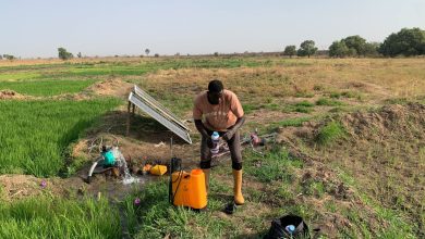 A person tends to equipment near solar panels and lush green fields, with a blue water pump in use, under a clear sky.