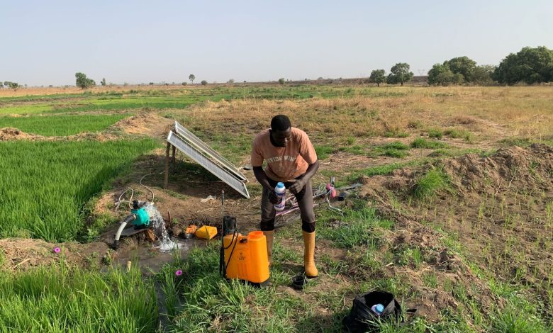 A person tends to equipment near solar panels and lush green fields, with a blue water pump in use, under a clear sky.