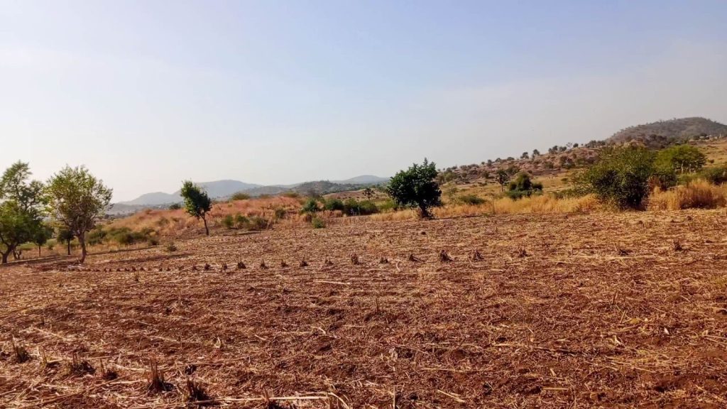 Dry field with sparse trees under a clear sky, with rolling hills in the background.