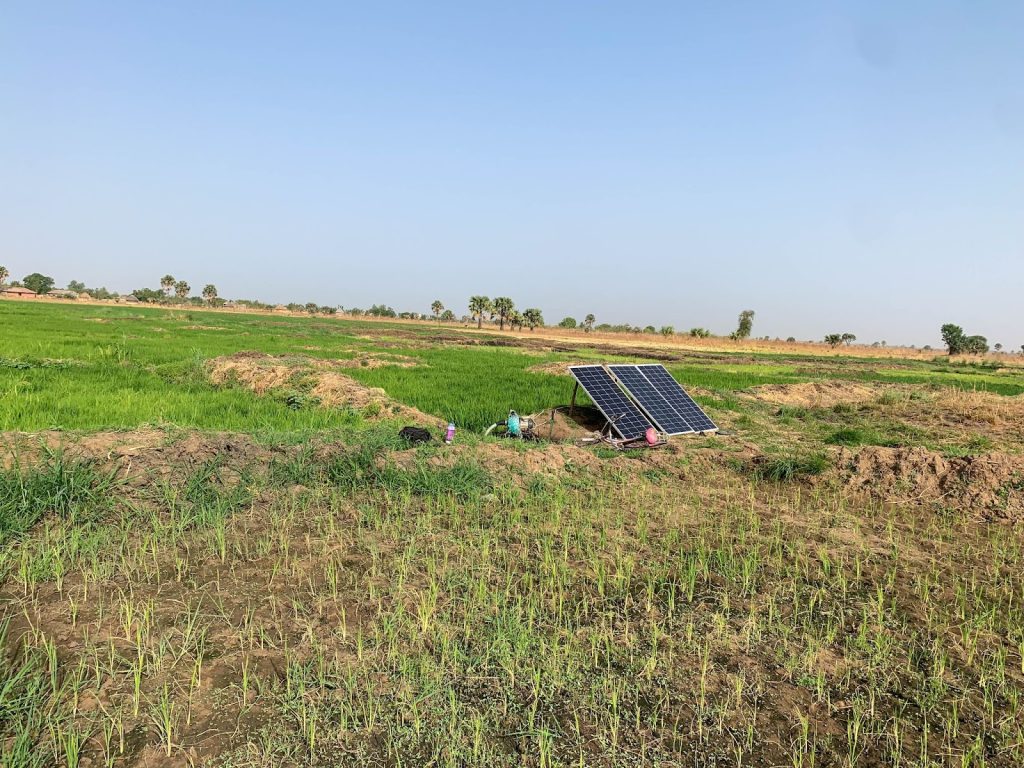 Solar panels in a green agricultural field under a clear blue sky.