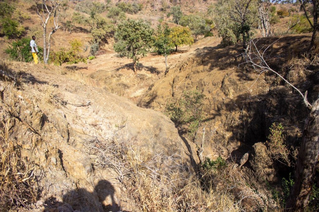 Dry, rugged landscape with sparse trees and bushes; a person stands on the left looking into a deep gorge.