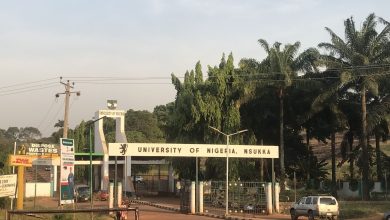 Entrance of University of Nigeria, Nsukka, with palm trees and signage.