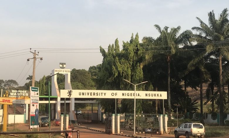 Entrance of University of Nigeria, Nsukka, with palm trees and signage.