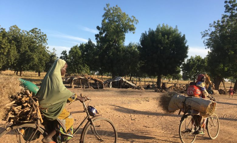 Two people ride bicycles on a dirt path, carrying large bundles of sticks and materials, with trees and small shelters in the background.