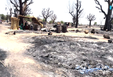 Charred landscape with burnt trees, scattered debris, and a small makeshift shelter in a deserted area.