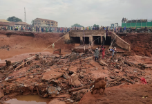 Collapsed bridge with debris, onlookers in the background, and a goat in the foreground.