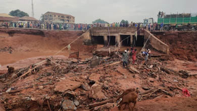 Collapsed bridge with debris, onlookers in the background, and a goat in the foreground.