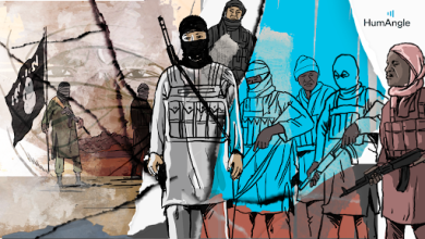 Illustration of armed militants wearing masks and holding weapons, with a flag and human eye in the background.