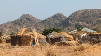 Thatched huts and metal-roofed buildings in dry grassland with hills in the background.