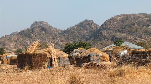 Thatched huts and metal-roofed buildings in dry grassland with hills in the background.