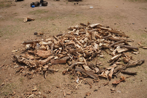 Pile of chopped wood scattered on a grassy dirt ground.