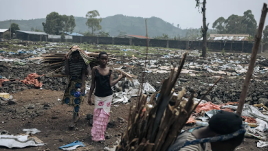 People carrying bundles of sticks walk through a litter-strewn field with trees and mountains in the background.