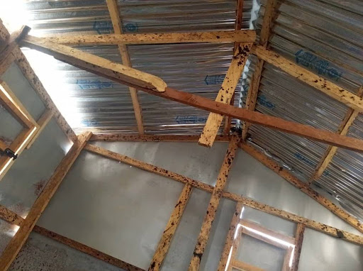 Wooden beams and metal roof interior, showing light streaming through gaps above a window.