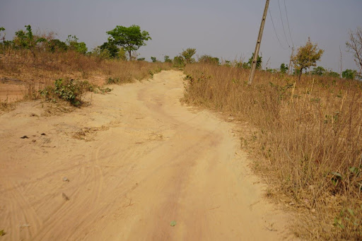 Dusty rural road winding through dry grass with scattered trees under a clear sky.