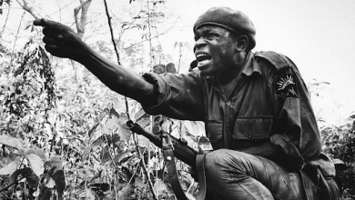 Soldier with a beret, crouched in dense vegetation, points forward with intensity, his rifle slung across his back.