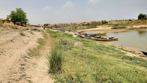 Riverbank with several wooden boats, a grassy path, and scattered trees under a clear sky.