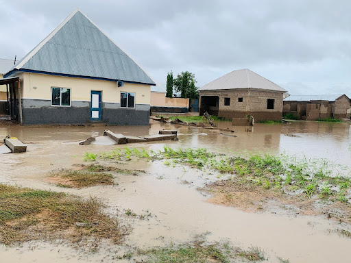 Flooded area with two houses, muddy water covering the ground, and a few green plants partially submerged. Overcast sky above.