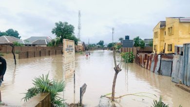 Flooded street with partially submerged buildings and trees; people in the distance wade through the water under a cloudy sky.