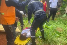 Emergency responders assist a person lying on a yellow stretcher on grassy ground, surrounded by other team members and greenery.