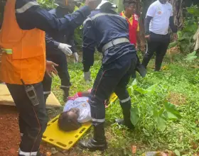 Emergency responders assist a person lying on a yellow stretcher on grassy ground, surrounded by other team members and greenery.