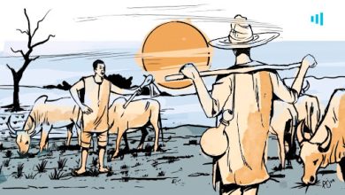 Two herders with cattle in a field, one with a hat and staff, another with a rope, against a sunset backdrop.