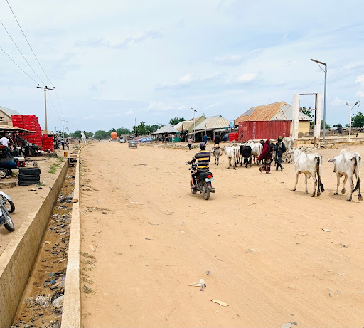 A person on a motorcycle follows cows on a sandy street lined with small shops and parked scooters under a partly cloudy sky.