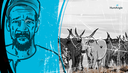 Illustrated man on left in blue tone, right shows a herd of cattle.