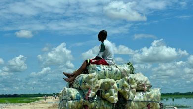 Young man sitting on a truck piled with produce sacks, gazing at a scenic rural landscape under a bright, cloudy sky.