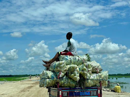 Young man sitting on a truck piled with produce sacks, gazing at a scenic rural landscape under a bright, cloudy sky.